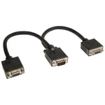 Tripp Lite P516-001 VGA Monitor Y-Splitter Cable, 1-Foot (for Standard-Resolution Monitors)