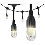 Enbrighten 31664 48-Ft. Classic LED Cafe Lights with 24 Acrylic Bulbs, Black Cord